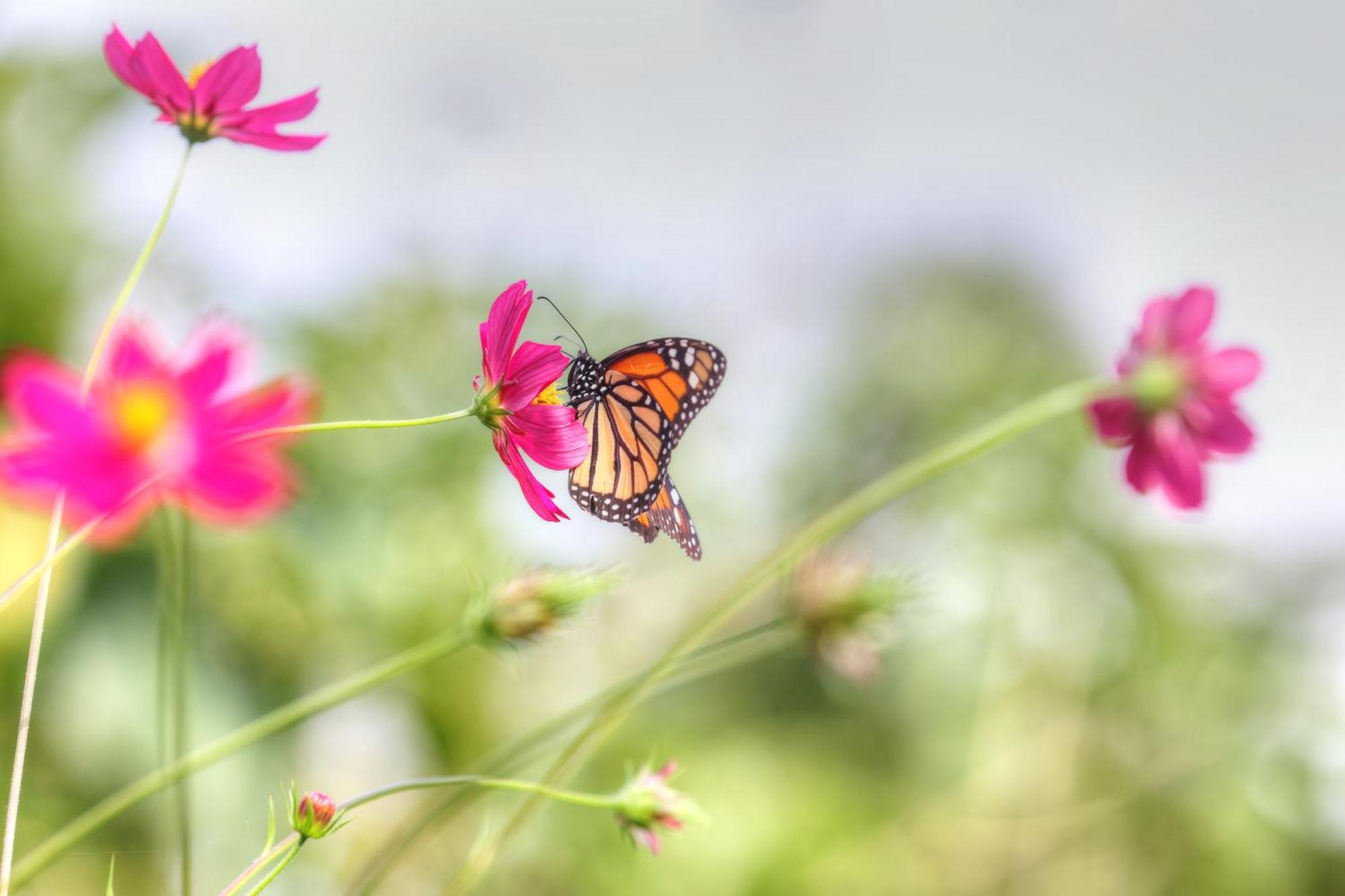 Hadco Experiences At Asa Wright Nature Centre Blanchisseuse 외부 사진