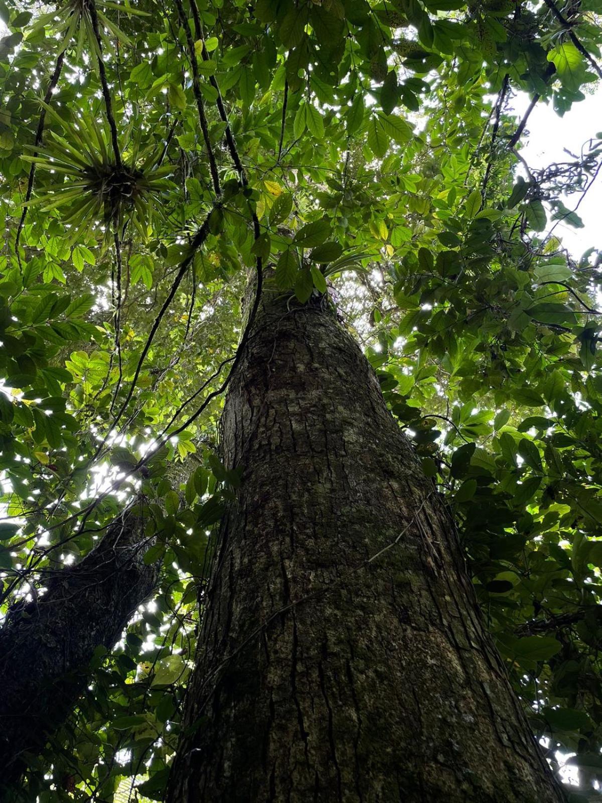 Hadco Experiences At Asa Wright Nature Centre Blanchisseuse 외부 사진