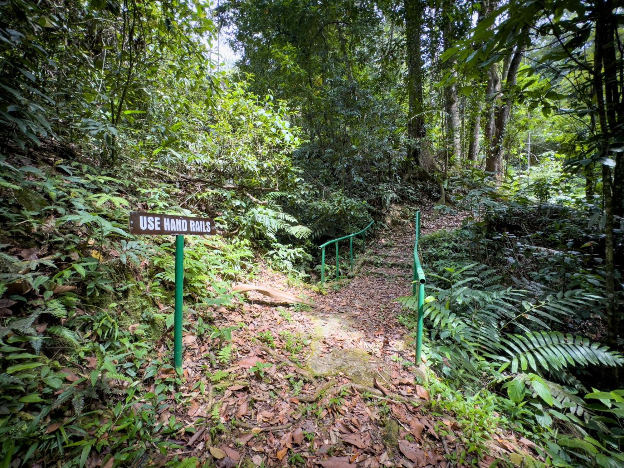 Hadco Experiences At Asa Wright Nature Centre Blanchisseuse 외부 사진