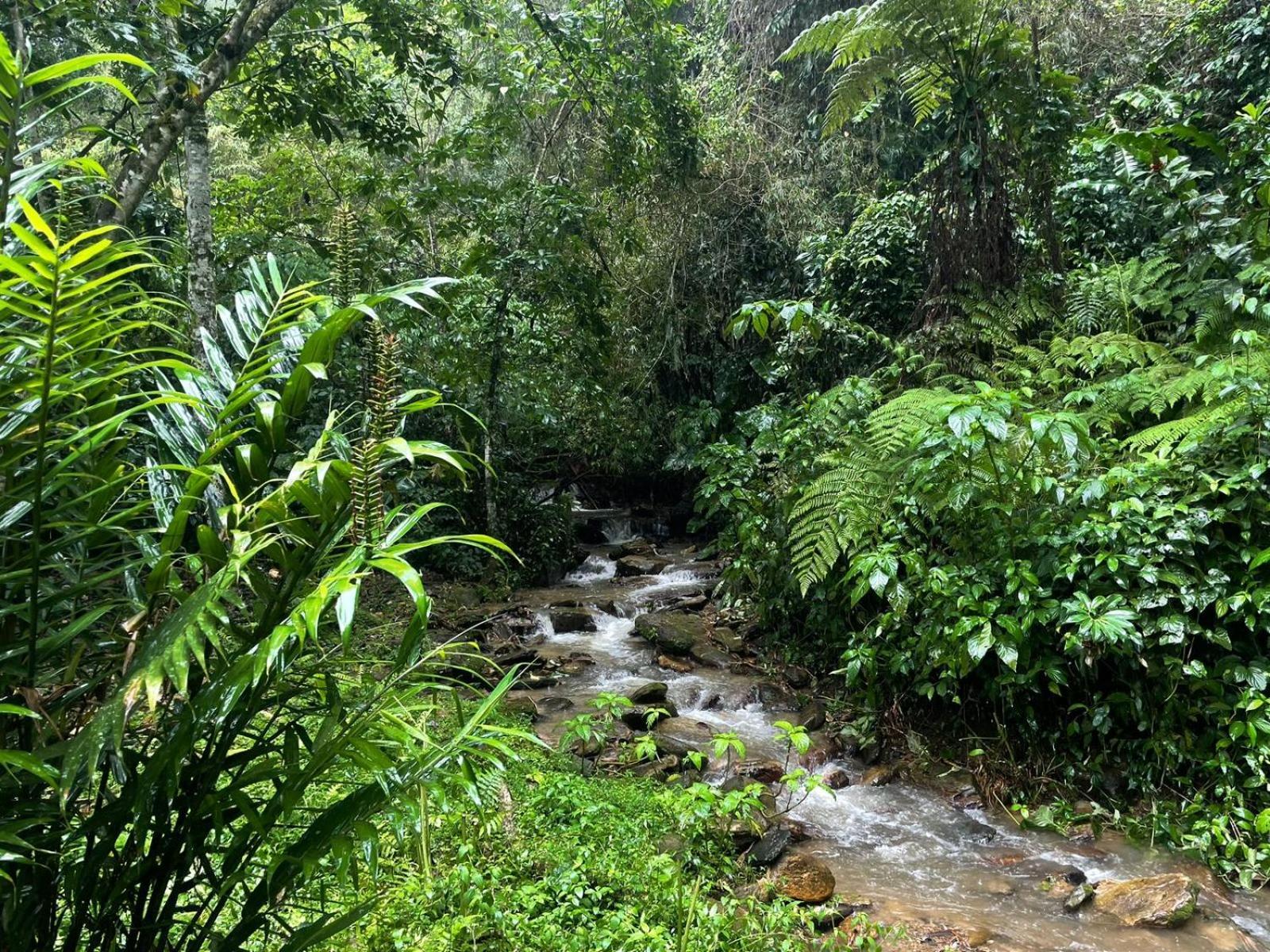 Hadco Experiences At Asa Wright Nature Centre Blanchisseuse 외부 사진