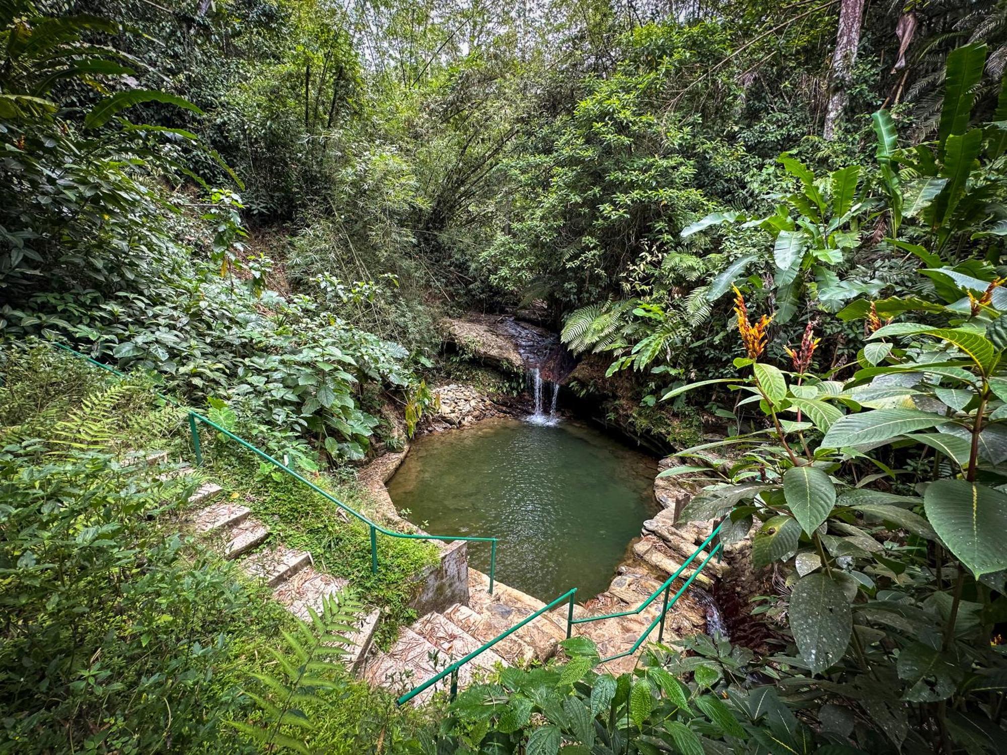 Hadco Experiences At Asa Wright Nature Centre Blanchisseuse 외부 사진